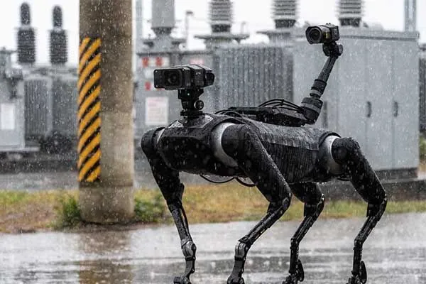 robot dog battery from long sing energy